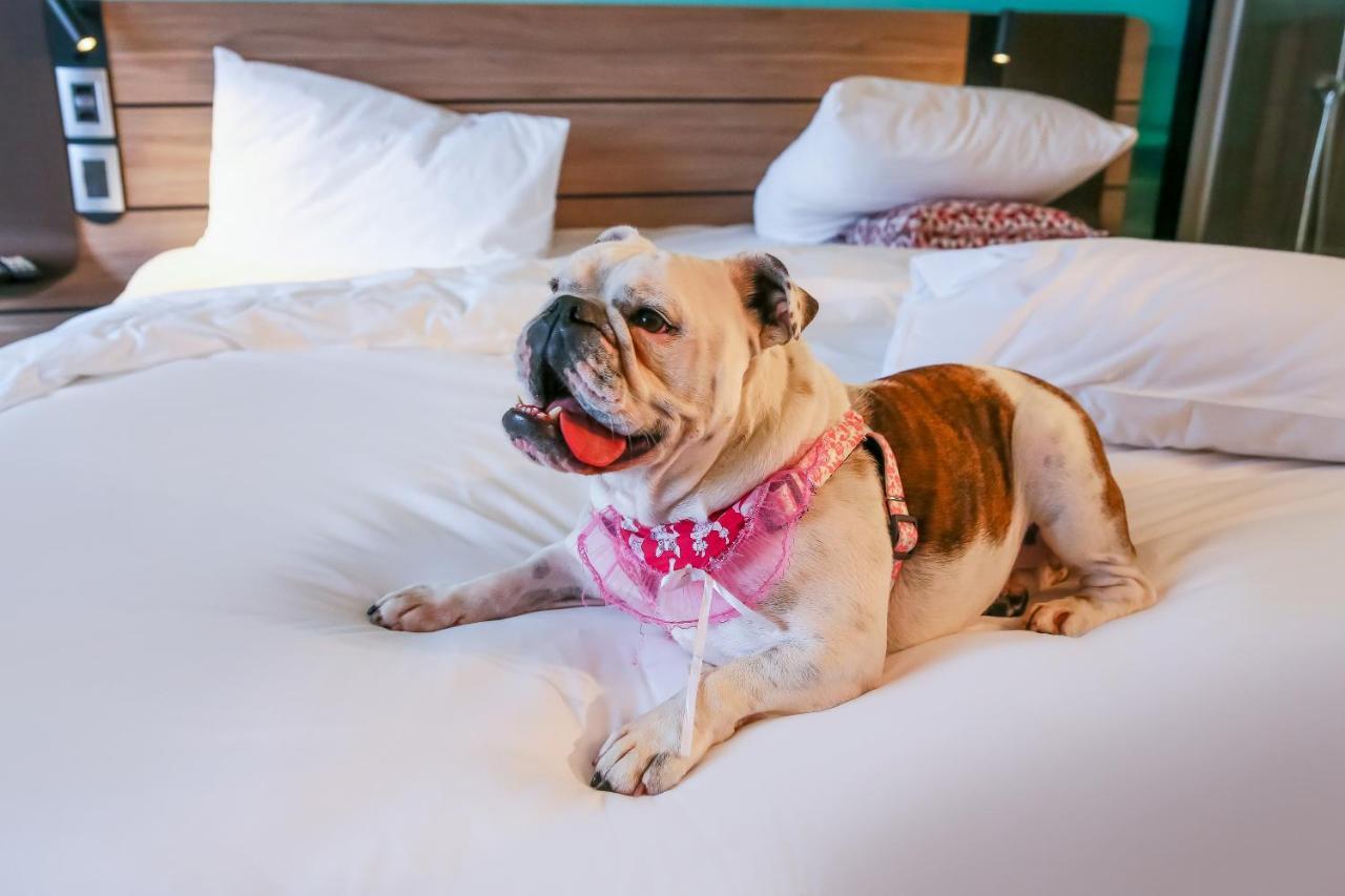 Novotel โซโรกาบา ภายนอก รูปภาพ